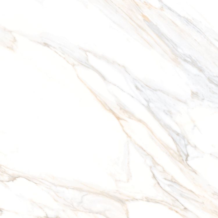 Aurum Calacatta Polished 36 x 36